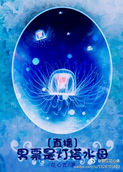 男票是灯塔水母