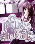 网王之细水流长