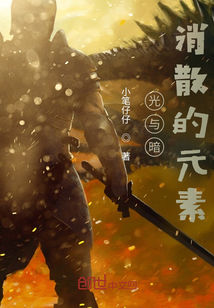 光与暗,消散的元素