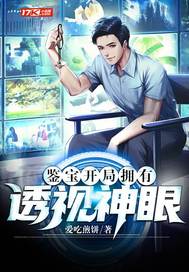 鉴宝：开局拥有透视神