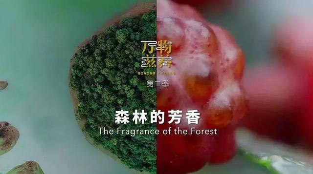 这部美食A片,又在勾引我“犯罪”!