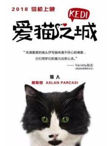 爱猫之城里的阿斯朗角色剧照
