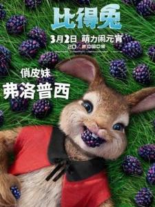 佛洛普西