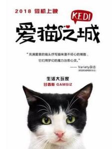 爱猫之城里的甘西斯角色剧照