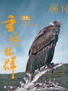 重返狼群里的 秃鹫角色剧照