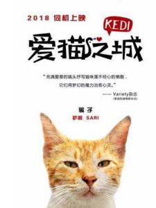 爱猫之城里的萨利角色剧照