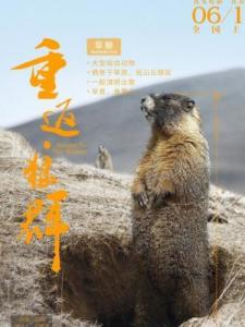 重返狼群里的 旱獭角色剧照