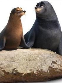 Rudder&Fluk