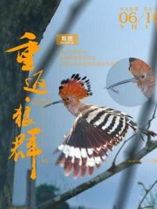 重返狼群里的戴胜角色剧照