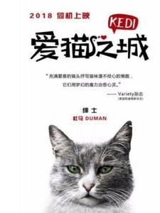 爱猫之城里的杜马角色剧照