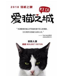 爱猫之城里的疯疯角色剧照