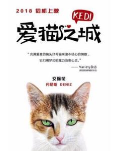 爱猫之城里的丹尼斯角色剧照