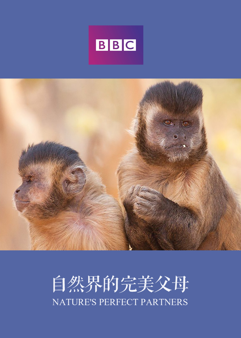 自然世界自然界的完美父母