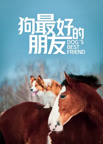 狗最好的朋友
