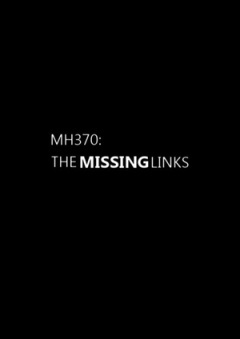 MH370:缺失的环节