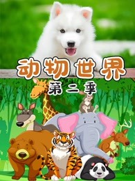 动物世界第二季