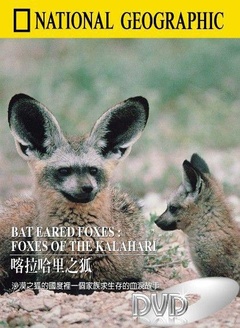 喀拉哈里之狐