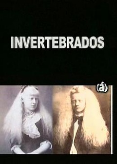 Invertebrados