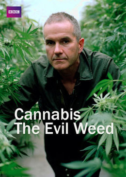 印度大麻邪恶的种子