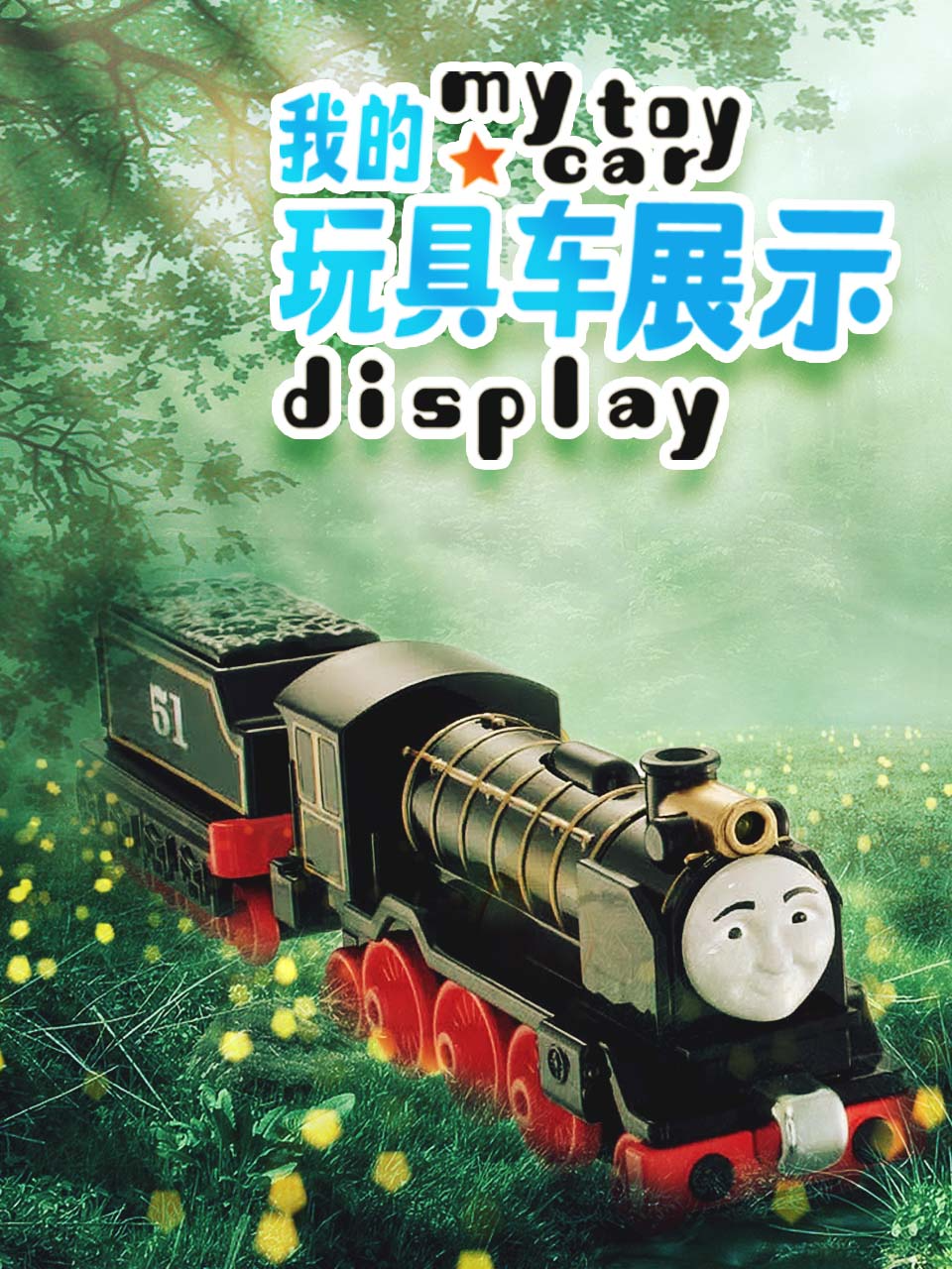 我的玩具车展示