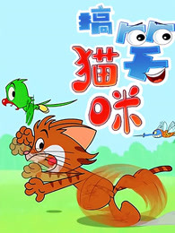 搞笑猫咪