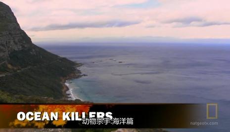 国家地理之动物杀手:海洋篇
