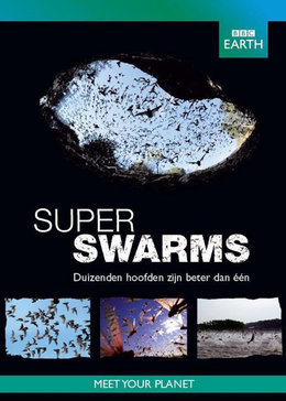 超级生物群