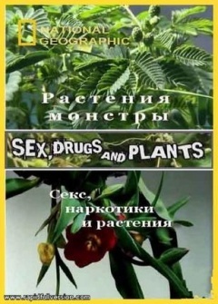 国家地理:植物的奥妙世界