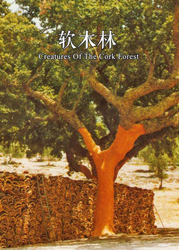 软木林