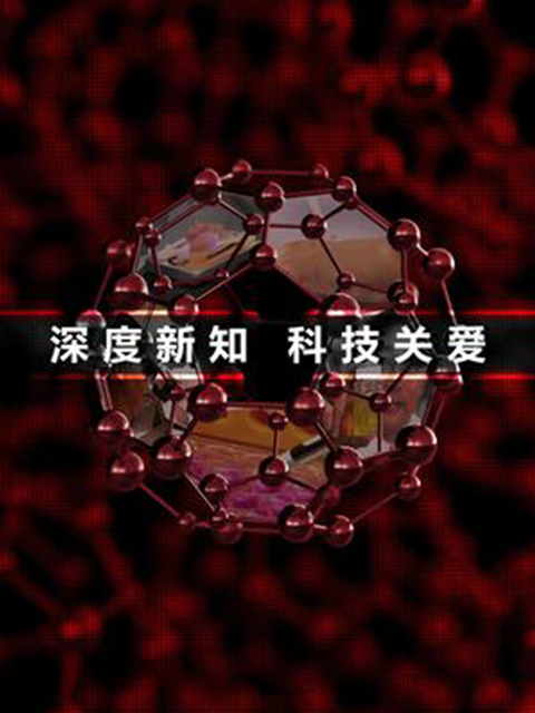 深度新知科技关爱