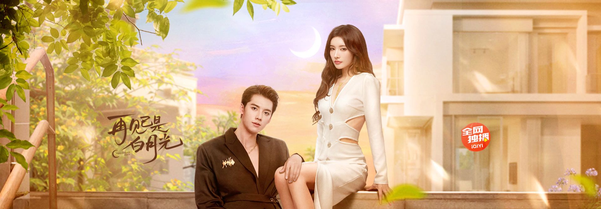 再见已是白月光