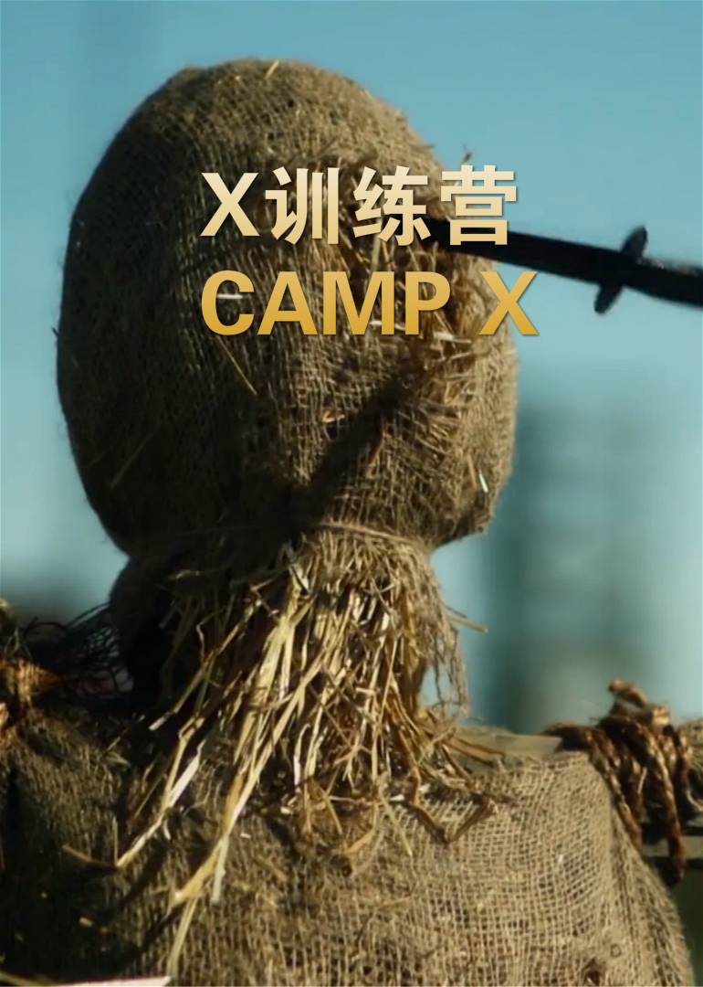 x训练营