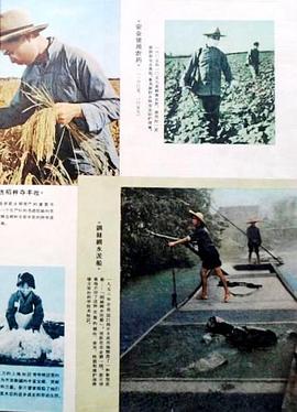 钢丝网水泥船