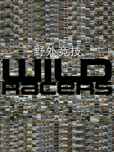 野外竞技
