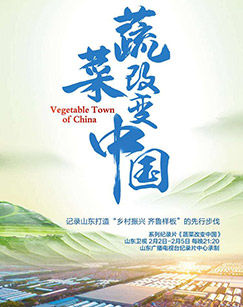 蔬菜改变生活