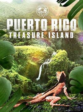 puertoricotreasureisland