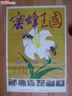 蜜蜂王国