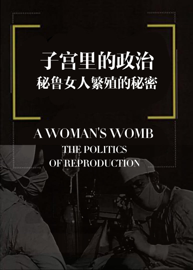子宫里的政治