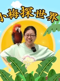 小梅探世界第一季