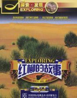 红柳的故事