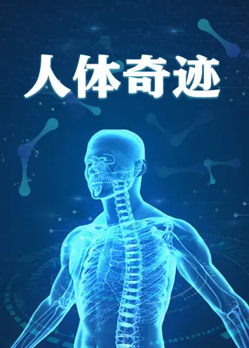 人体奇迹