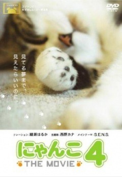 猫咪物语4