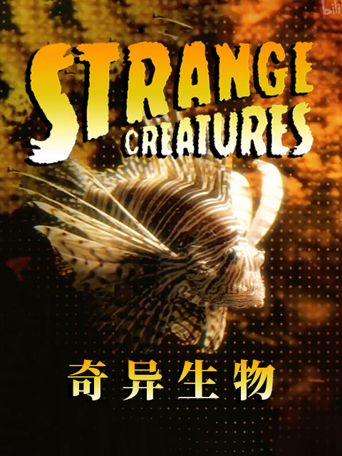 奇异生物第一季