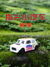 指尖小汽车第七季