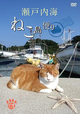 猫岛的来信