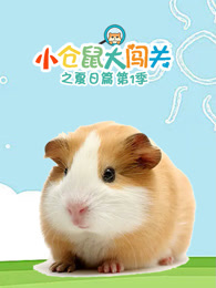 小仓鼠大闯关之夏日篇第一季