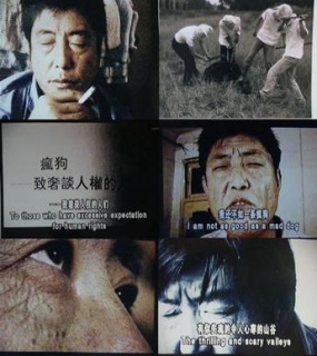 食指