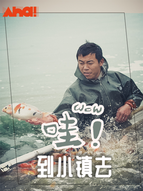 哇到小镇去