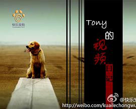 托尼的视频日记