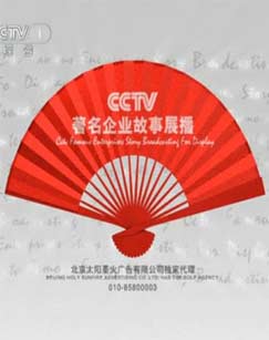 cctv著名企业故事展播